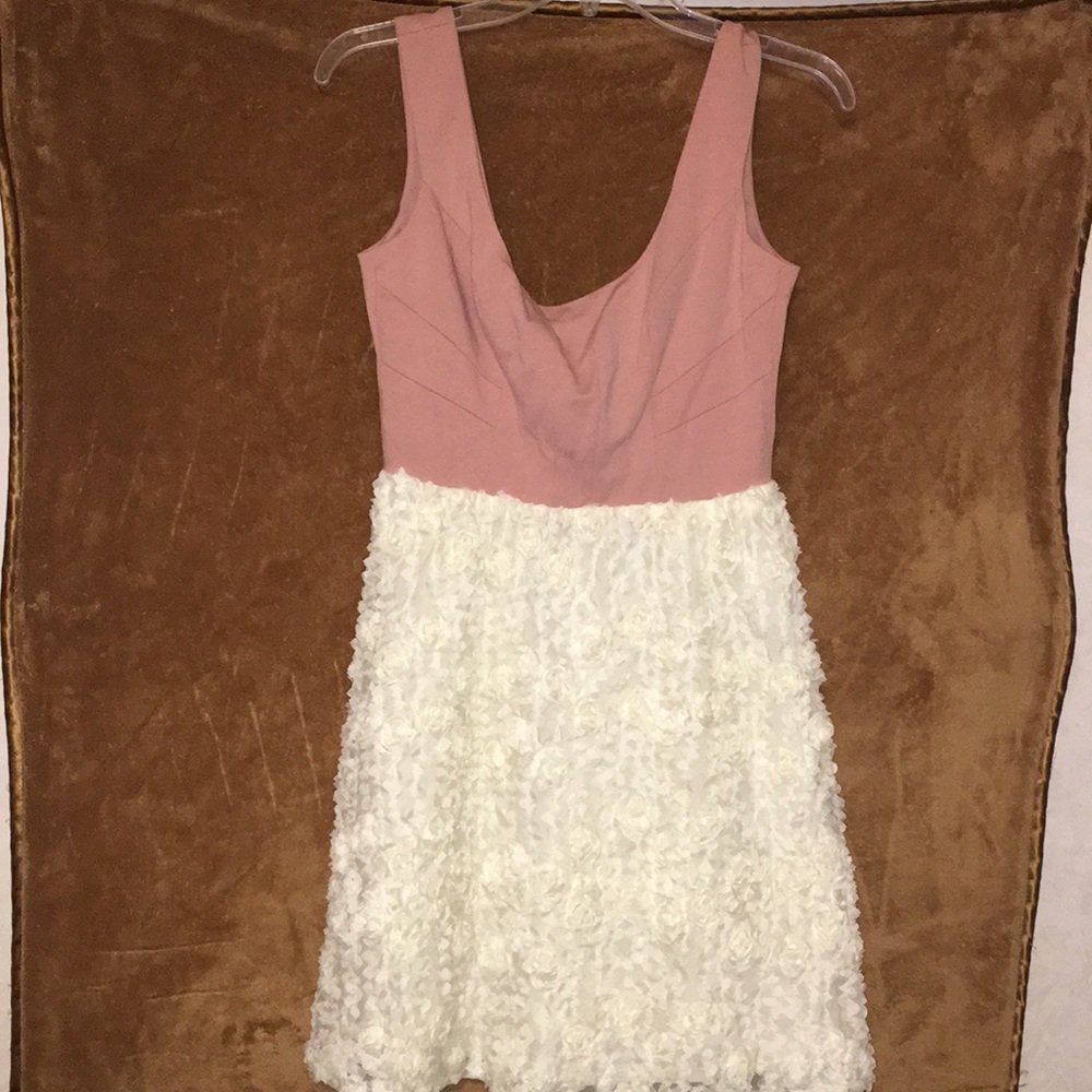 Blush and Ivory Flower Mini Dress